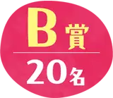 B賞 20名